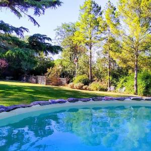 a swimming pool in a yard with trees in the background at Casita de Piedra B&B in Villa del Dique