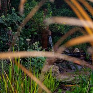 una fuente de agua en un jardín con plantas en Casita de Piedra B&B en Villa del Dique