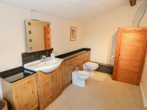 un bagno con lavandino e WC di Tyn Llwyn a Gwyddelwern Altre 25 foto