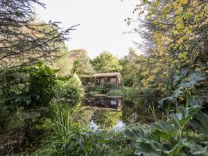 a garden with a house in the middle of a pond at The Log Cabin in Kilmore