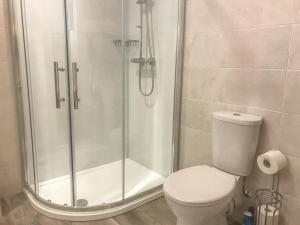 a bathroom with a shower and a toilet at Mews Cottage in Penrith +4 photos