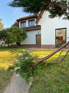 una rama de árbol tirada en la hierba frente a una casa en La VILLA en BAIE, en Le Crotoy