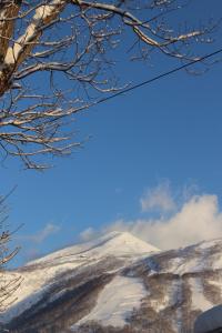 Gallery image of Niseko OAC Lodge in Niseko