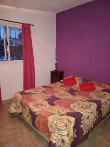 a bedroom with a large bed with red pillows at Casas Cordoba in Villa Parque Siquiman