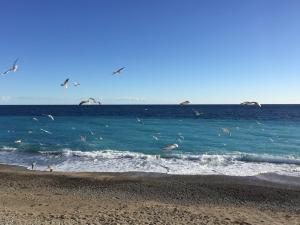 PALAIS ELISABETH PROMENADE DES ANGLAIS