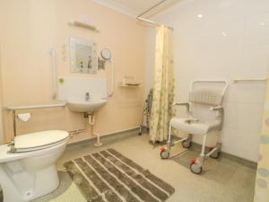 een ziekenhuiskamer met een toilet en een wastafel bij Kingfisher in Wattisfield