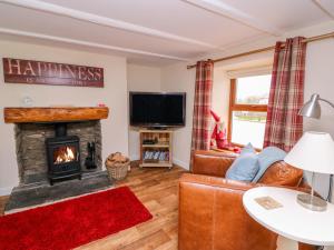 a living room with a fireplace and a couch at Bank House in Newcastle Emlyn