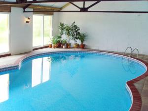 a swimming pool in a house with a large blue pool at The Cottage in Sampford Courtenay