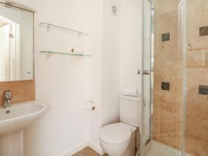 a bathroom with a toilet and a sink and a shower at 1 River Cottage in Calstock