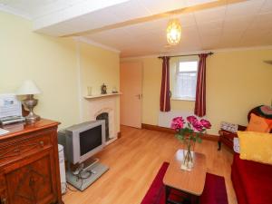 a living room with a tv and a fireplace at Steepe's Place in Glenosheen