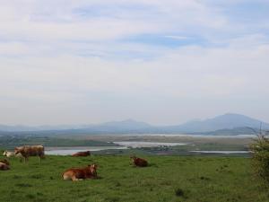 Gallery image of Mulroy View in Burnfoot