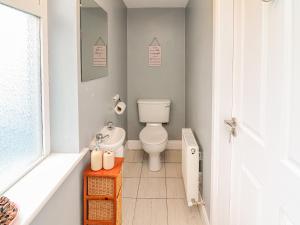 a small bathroom with a toilet and a sink at Silver Birch House in Laune Bridge