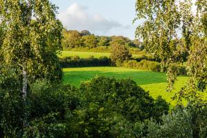 un campo verde con árboles en primer plano en Cornwall Countryside Lodges "Reserve Worldwide" Honicombe, en Gunnislake