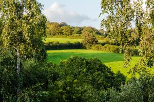 ein grünes Feld mit Bäumen im Vordergrund in der Unterkunft Cornwall Countryside Lodges "Reserve Worldwide" Honicombe in Gunnislake