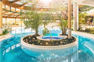 ein großer Pool mit Bäumen in einem Gebäude in der Unterkunft Ostseeblick Baabe in Baabe