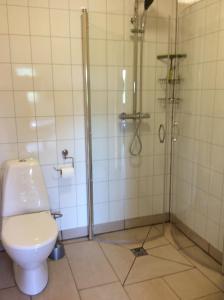 a bathroom with a toilet and a shower at Middalskot Cottages in Laugarvatn