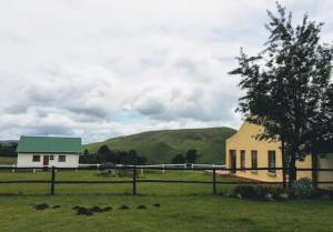 a farm with a building and a tree in a field at Fly Shack in Dullstroom