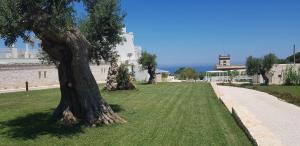 a tree in the grass next to a building at San Lorenzo Boutique Hotel & SPA in Polignano a Mare