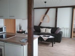 eine Küche und ein Wohnzimmer mit einem Sofa in der Unterkunft Altstadt-Apartment Petershagen in Petershagen