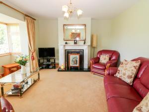 uma sala de estar com um sofá e uma lareira em The Blue Annex em Tralee