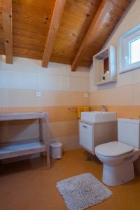 bagno con servizi igienici e lavandino di Šolta Life Apartments a Maslinica