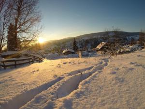 um campo coberto de neve com o sol ao fundo em Ferienwohnung Ritter em Schmiedefeld am Rennsteig