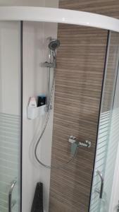 een douche met een douchekop in een badkamer bij Single Suite Apartment in Timişoara