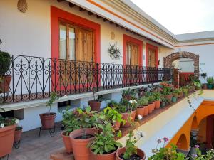 Jardí fora de Los Arrayanes
