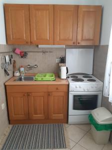 Kuchyň nebo kuchyňský kout v ubytování Apartments Jurkovic