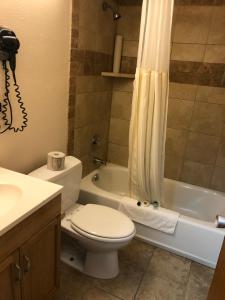 a bathroom with a toilet and a tub and a sink at Downtown Value Inn in Portland
