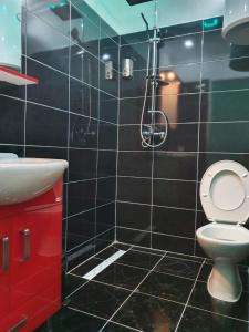 ein schwarz gefliestes Bad mit einem WC und einer Dusche in der Unterkunft Hotel Vila Ličina in Gladno Polje