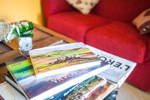a pile of books on a coffee table in a living room at Agriturismo Dipinture in Asciano