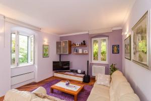 TV a/nebo společenská místnost v ubytování Apartment Djivo