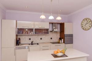 Kuchyň nebo kuchyňský kout v ubytování Apartment Djivo