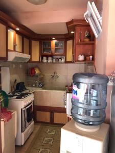 a kitchen with a white stove top oven next to a counter at Vasilevi House in Devin