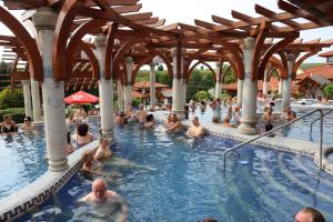 a group of people in a swimming pool at Favorite Vendégház in Poroszló