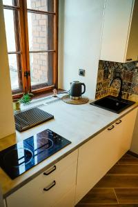Kuchyňa alebo kuchynka v ubytovaní Apartamenty w Wieży