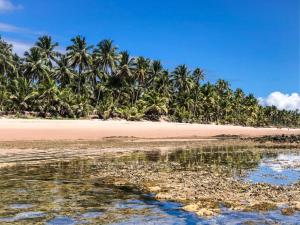 a beach with palm trees and the water at Pousada Pôr do Sol in Barra Grande