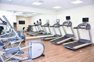 a gym with a row of treadmills and machines at Holiday Inn Express & Suites - Bensenville - O'Hare, an IHG Hotel in Bensenville