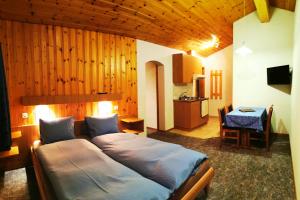 Televizorius ir (arba) pramogų centras apgyvendinimo įstaigoje Hotel Alpha