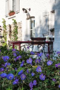 un banco sentado fuera de una casa con flores púrpuras en PuurTeuven B&B tussen Kunst en Natuur, en Voeren