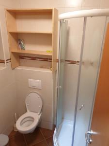 Koupelna v ubytování Apartma DA-LI SPORTS -ROGLA