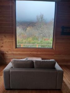 a couch in a room with a large window at El Encuentro Malalcahuello in Malalcahuello