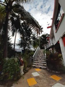 schody prowadzące do budynku z palmami w obiekcie Hotel Sael w mieście Tocaima