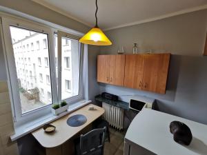Kuchyňa alebo kuchynka v ubytovaní APARTAMENT NAD STAWEM