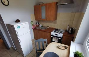 Kuchyňa alebo kuchynka v ubytovaní APARTAMENT NAD STAWEM