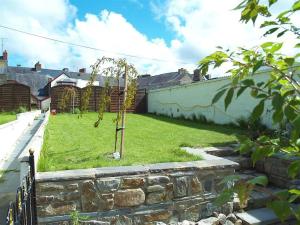 un petit arbre dans une cour à côté d'un mur dans l'établissement Stable Cottage, Cardigan, à Cardigan 7 autres photos