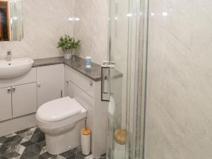 a bathroom with a shower and a toilet and a sink at Ysgubor Ddegwm Bach in Beaumaris +15 photos