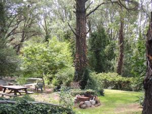 a park with a picnic table and a tree at Aldea del bosque in Villa Ventana