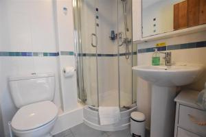 a bathroom with a shower and a toilet and a sink at 5 The Coach House in Haverfordwest